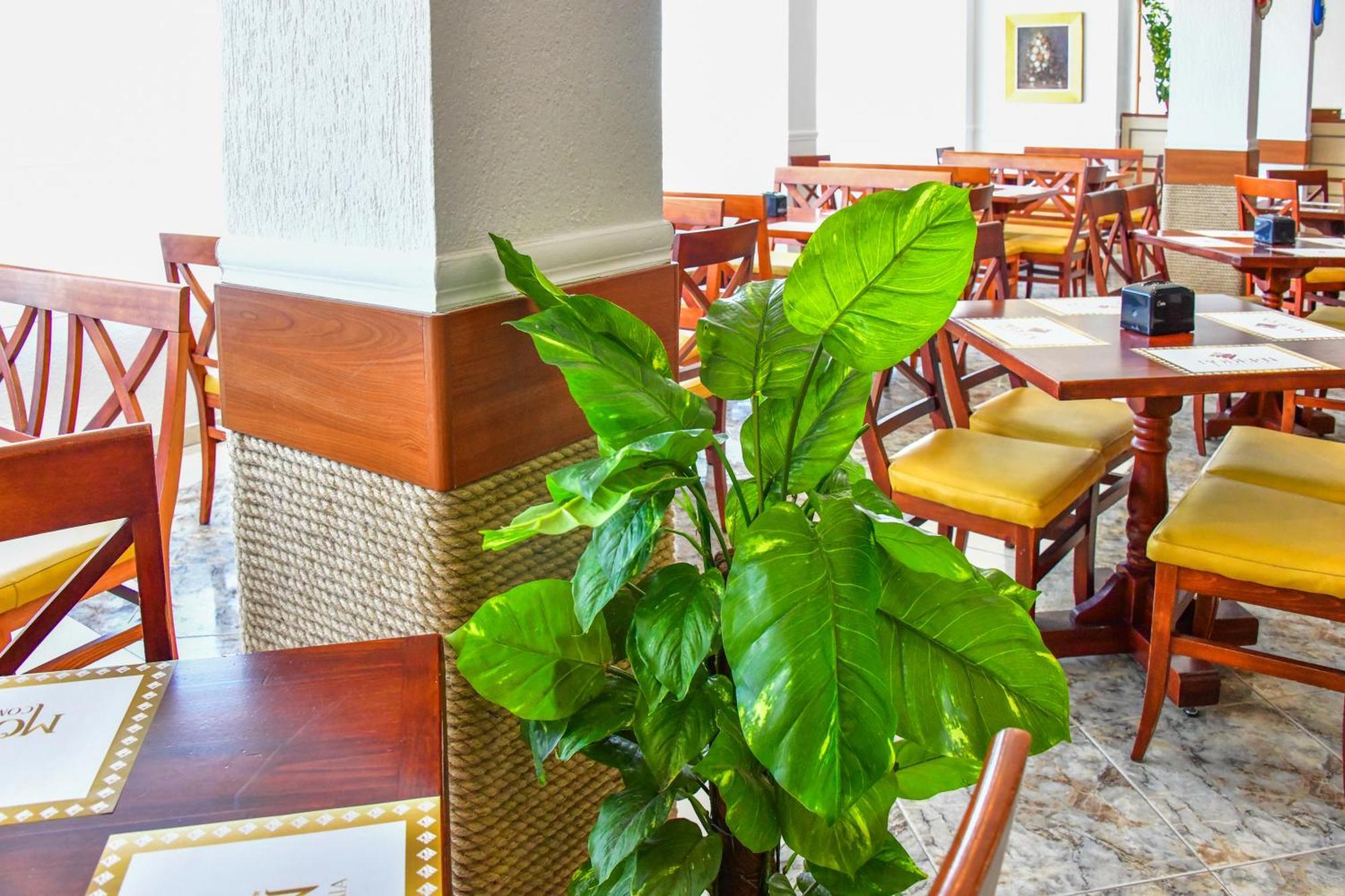 Complex Modern Hotel Mamaia